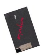 Casper Via 8B 8inç Ekran LCD Panel